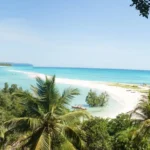 Quand partir à Madagascar