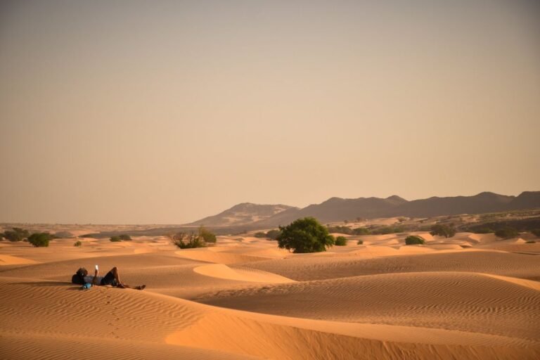 Voyage en Mauritanie à la découverte des merveilles du désert