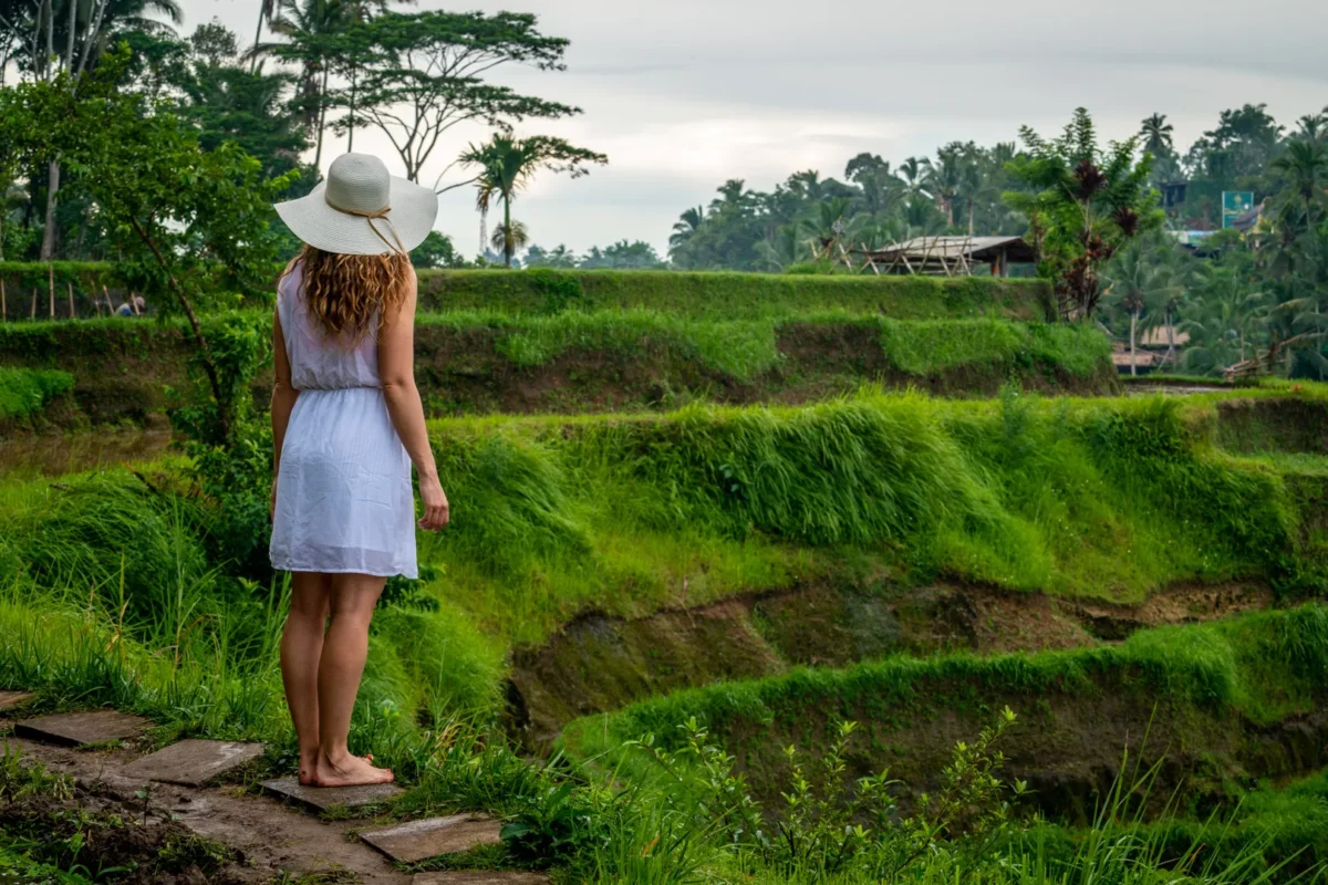rizières de Tegalalang à Bali
