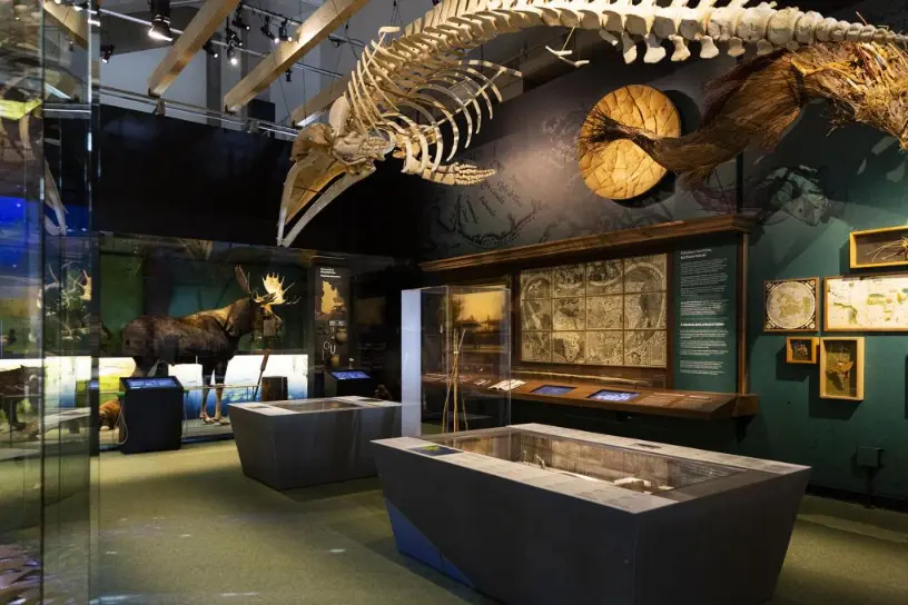 Découvrir le Musée de la civilisation