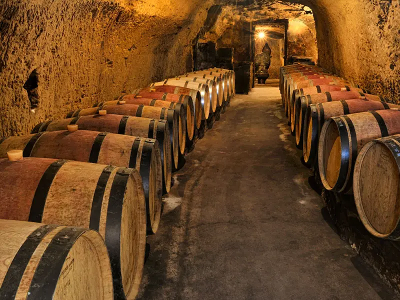 Déguster les vins locaux aux Caves Louis de Grenelle