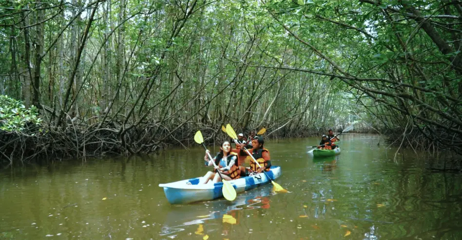 Faire du kayak dans la mangrove de Ao Thalane