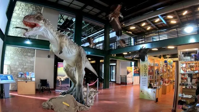 Visiter le Musée d'Histoire Naturelle de la Crète2