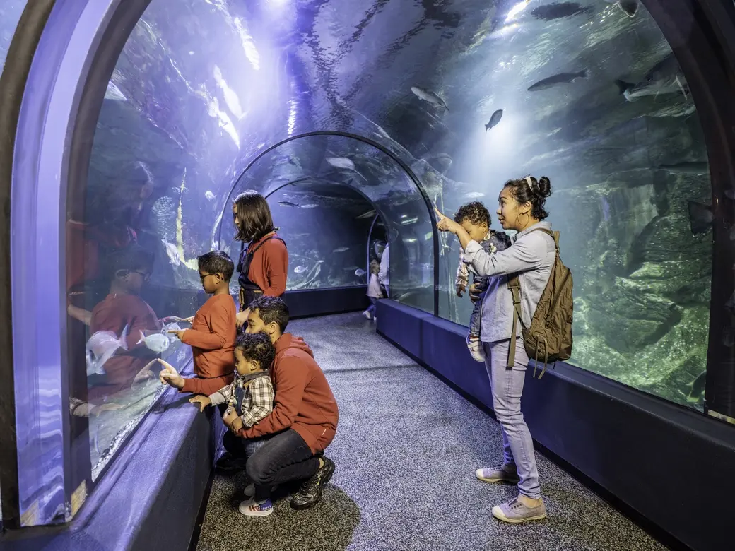 Que peut on voir et faire à La Baule