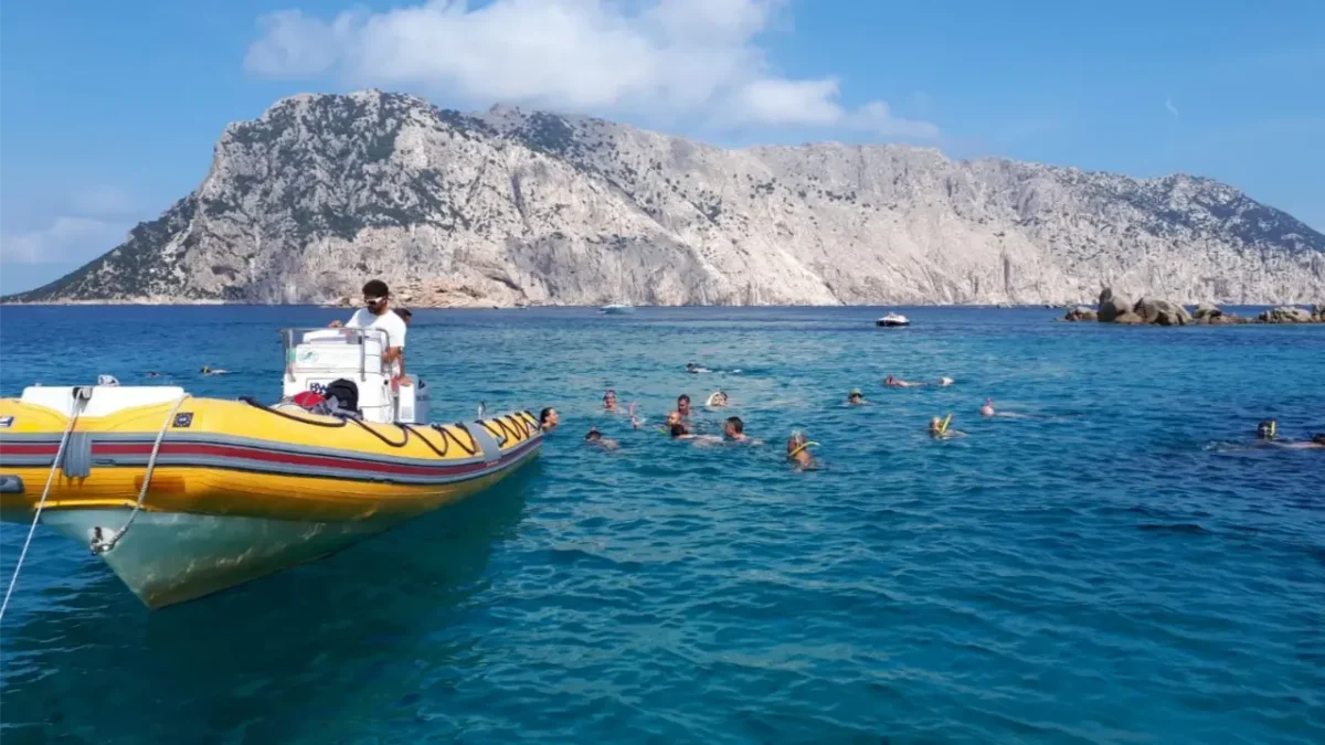 Explorer l'île de Tavolara 1