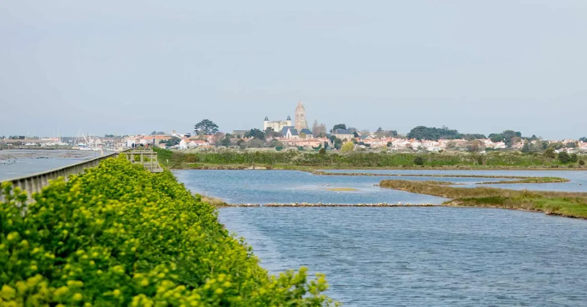 la réserve de Müllembourg