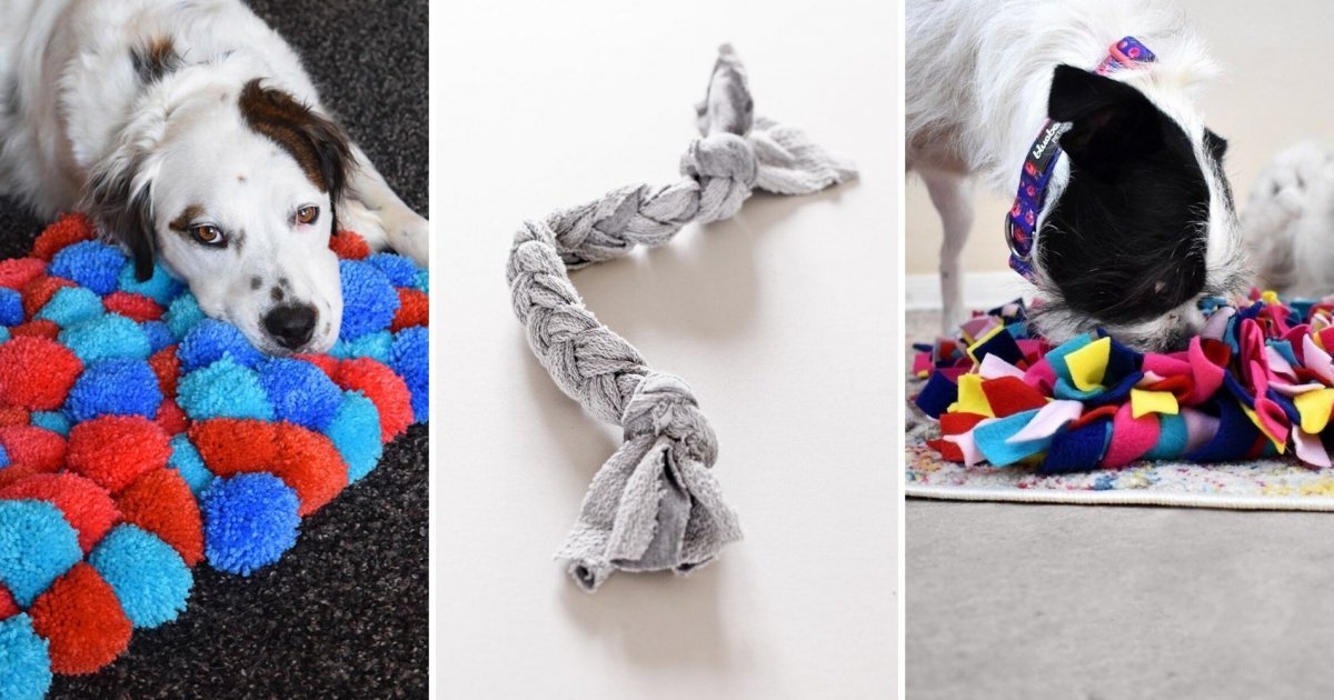 Fabriquer des accessoires pour animaux