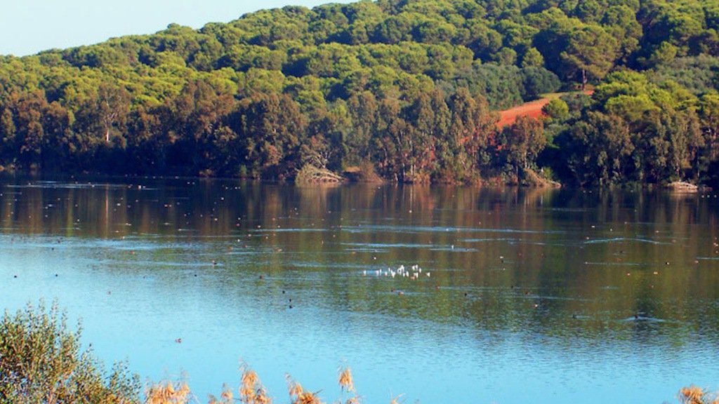Où se trouve l'emplacement correspondant aux coordonnées 36.710949614537256, 2.86538572767091