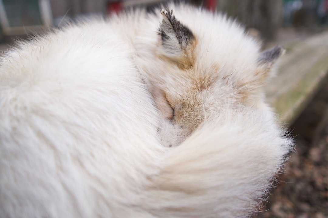 découvrez notre recette facile et rapide de fluffy brioche, une brioche moelleuse et légère parfaite pour vos petits déjeuners gourmands.
