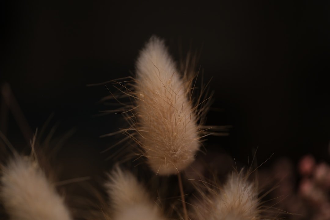 découvrez notre recette facile et rapide de brioche moelleuse et légère, parfaite pour un petit-déjeuner gourmand ou un goûter délicieux.