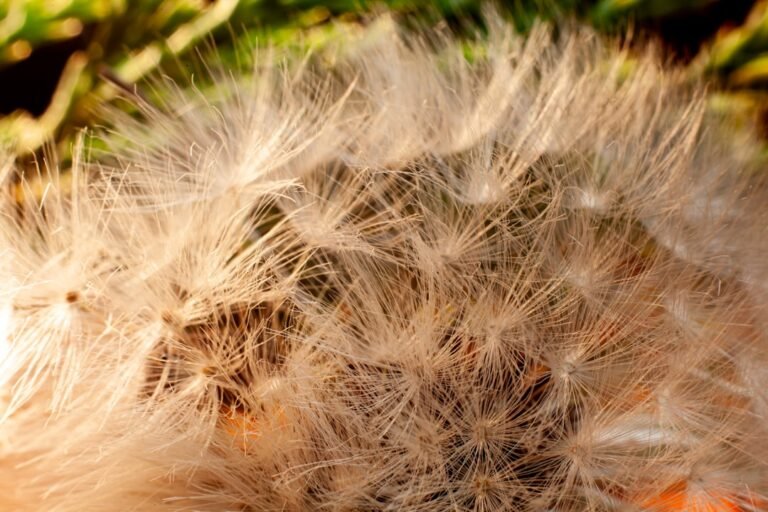 découvrez la recette facile et rapide de la fluffy brioche, une brioche moelleuse et légère parfaite pour vos petits-déjeuners gourmands.