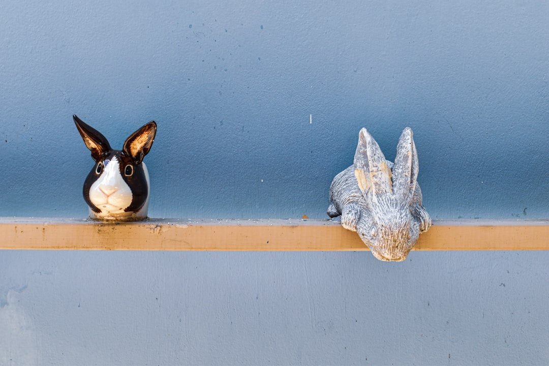 location d'appareils : trouvez facilement l'équipement adapté à vos besoins pour une durée flexible et à un prix compétitif.