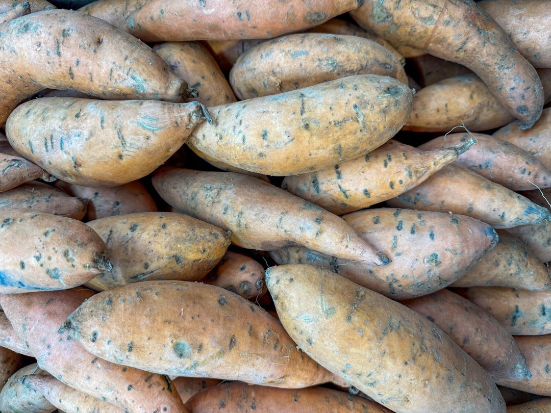 découvrez nos astuces pour conserver la fraîcheur des carottes plus longtemps et profiter de leur saveur et croquant au quotidien.