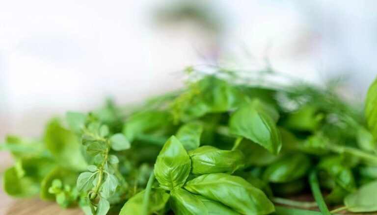 Cuisson épinard frais parfaite et savoureuse