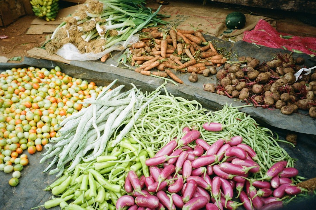 découvrez tout sur les poireaux : bienfaits, utilisations culinaires et conseils de culture pour ajouter saveur et santé à vos plats.