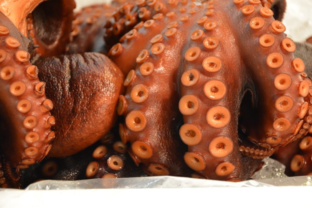 découvrez des recettes savoureuses et faciles pour cuisiner le poulpe avec notre guide complet d'octopus cooking. astuces, techniques et idées gourmandes au rendez-vous !