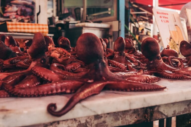 découvrez nos recettes savoureuses et astuces pour cuisiner l'octopus à la perfection, du choix des ingrédients à la cuisson optimale.