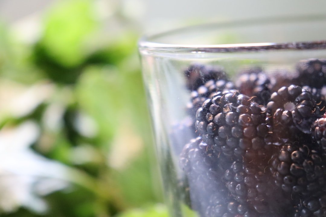 découvrez notre délicieuse gelée de mûres, préparée avec des ingrédients naturels pour un goût sucré et authentique. parfaite pour vos tartines, desserts et recettes gourmandes.