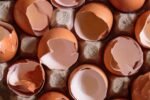 découvrez les risques et précautions liés à la consommation d'œufs périmés. apprenez à identifier les œufs expirés pour garantir votre sécurité alimentaire.
