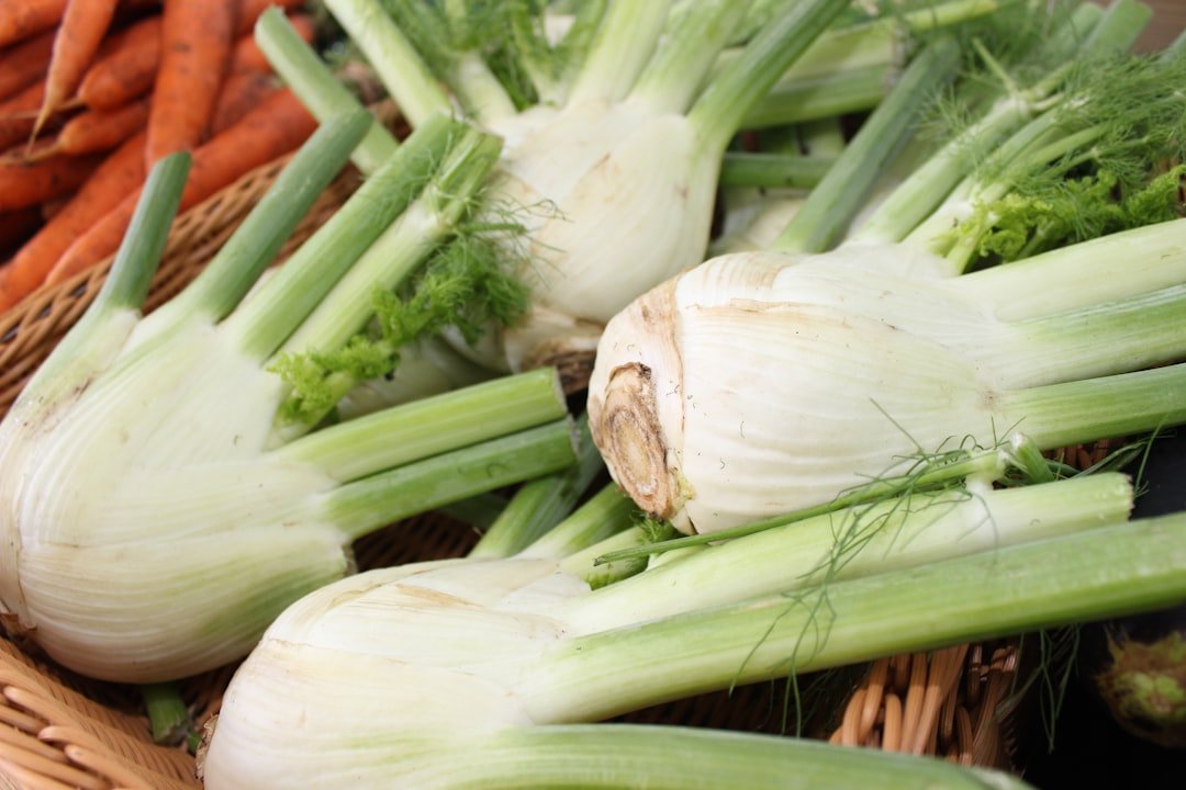 découvrez comment rehausser la saveur de vos plats avec l'arôme unique du fenouil pour une touche fraîche et anisée.