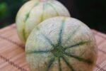 découvrez nos astuces simples et efficaces pour garder votre melon frais plus longtemps et profiter pleinement de sa saveur naturelle.
