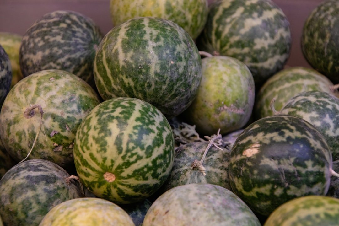 découvrez nos astuces simples et efficaces pour garder votre melon frais plus longtemps et profiter pleinement de sa saveur sucrée et juteuse.
