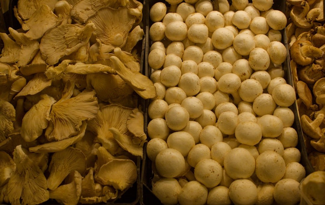 découvrez les meilleures méthodes pour conserver les cèpes de manière optimale, afin de préserver leur saveur et leur texture toute l'année.