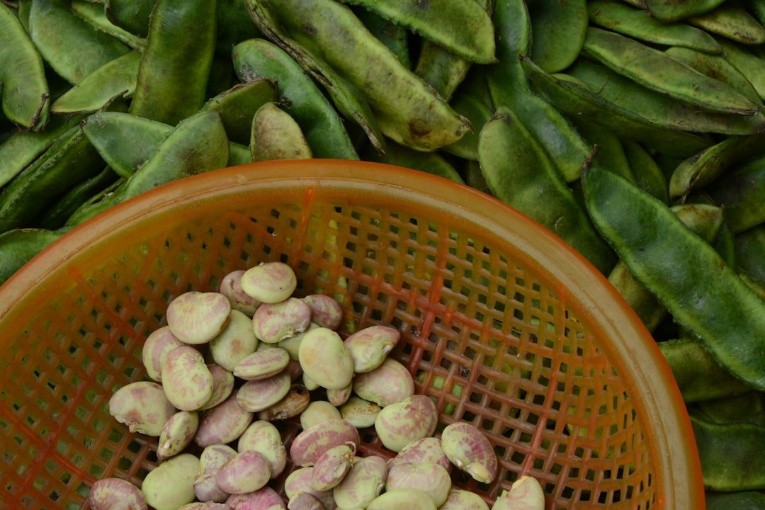 découvrez les bienfaits des fèves, également appelées broad beans, un légume riche en protéines et fibres, idéal pour une alimentation saine et équilibrée.