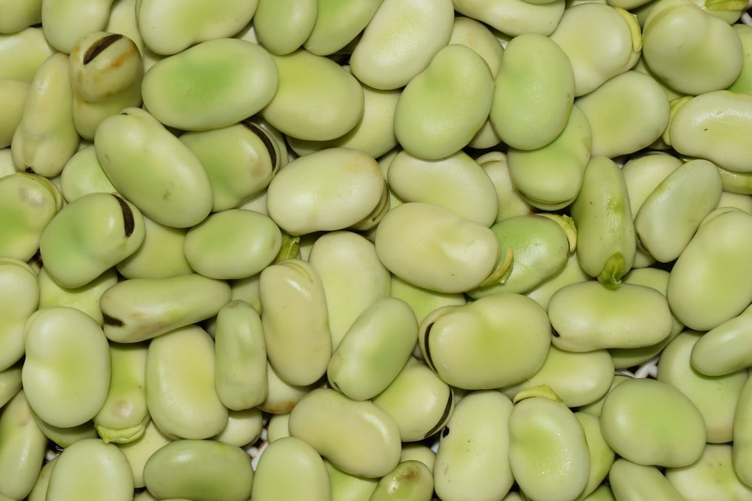 découvrez les fèves, riches en protéines et en fibres, idéales pour des recettes saines et savoureuses.
