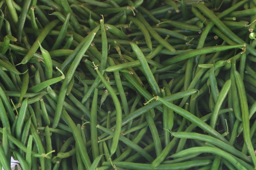 découvrez tout sur les haricots verts : conseils de culture, bienfaits pour la santé et recettes savoureuses pour enrichir votre alimentation.