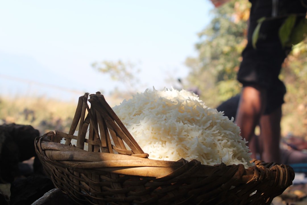 découvrez des méthodes simples et efficaces pour garder votre riz cuit frais plus longtemps, en préservant sa saveur et sa texture.