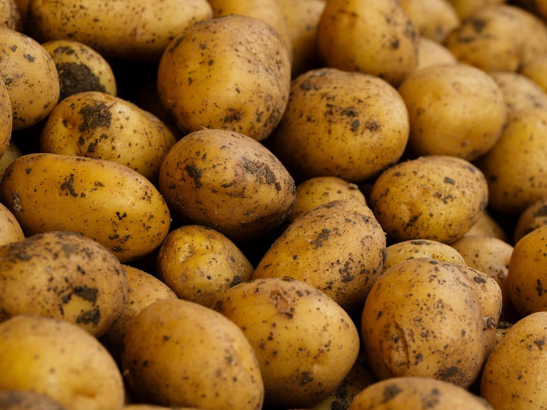 découvrez les meilleures méthodes de stockage des pommes de terre pour préserver leur fraîcheur et leur saveur plus longtemps.