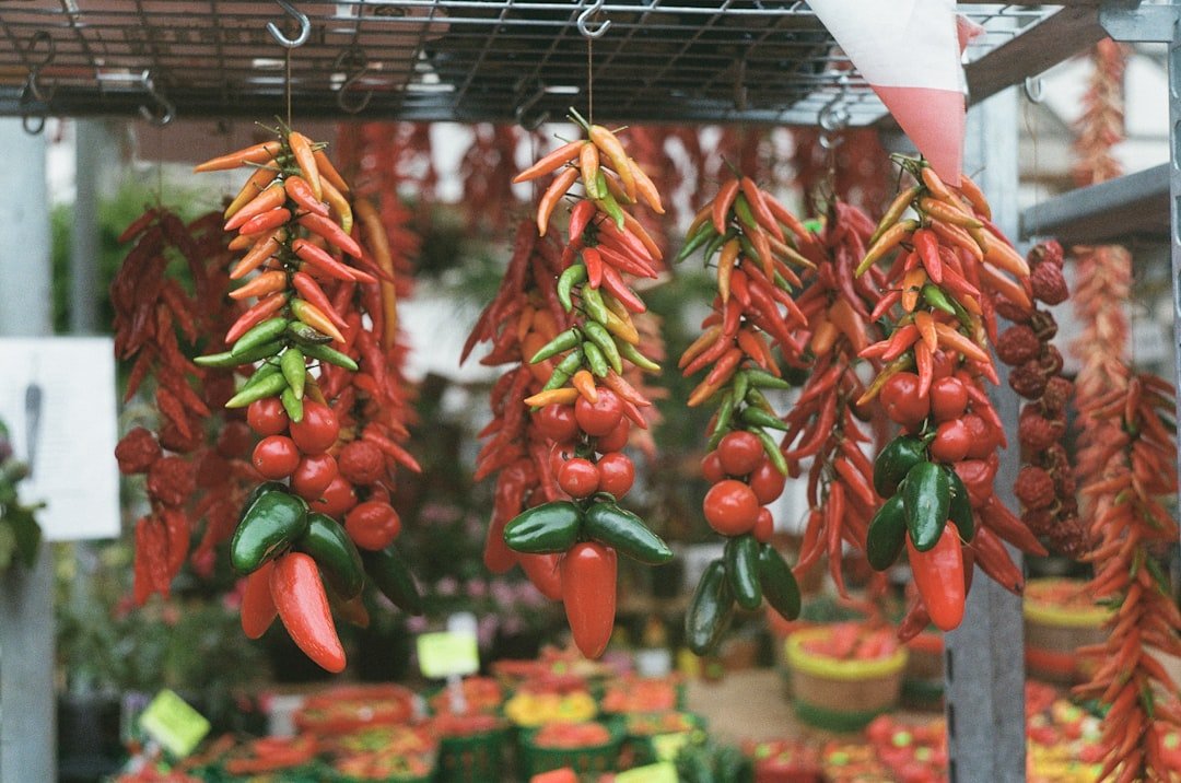découvrez des astuces efficaces pour préserver la fraîcheur de vos piments et profiter pleinement de leur saveur piquante plus longtemps.