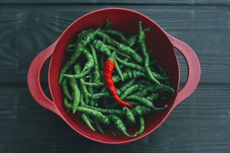 découvrez les meilleures méthodes pour préserver la fraîcheur des piments et profiter pleinement de leur saveur intense.