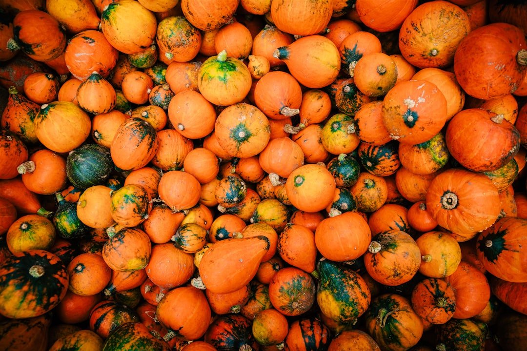 découvrez notre recette savoureuse de soupe à la citrouille, idéale pour réchauffer vos soirées d'automne avec une touche douce et épicée.