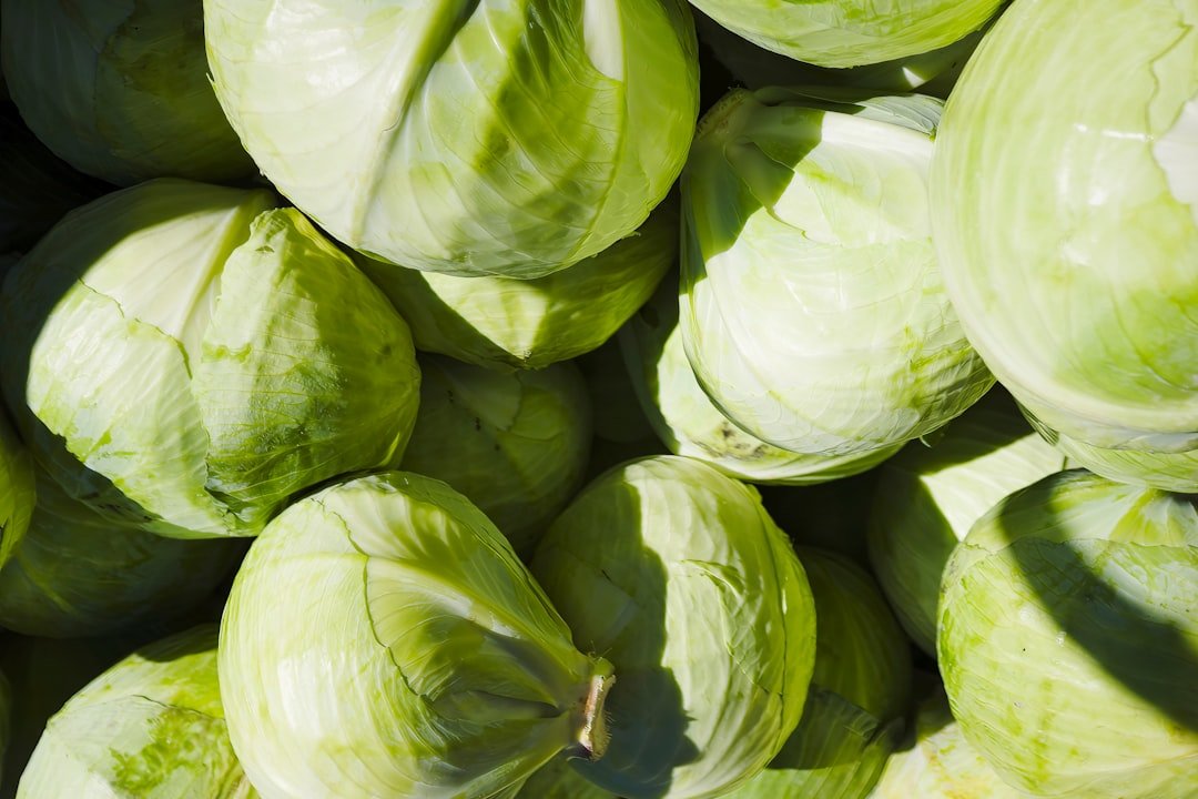 découvrez des recettes savoureuses et faciles à base de chou pour des repas sains et gourmands.