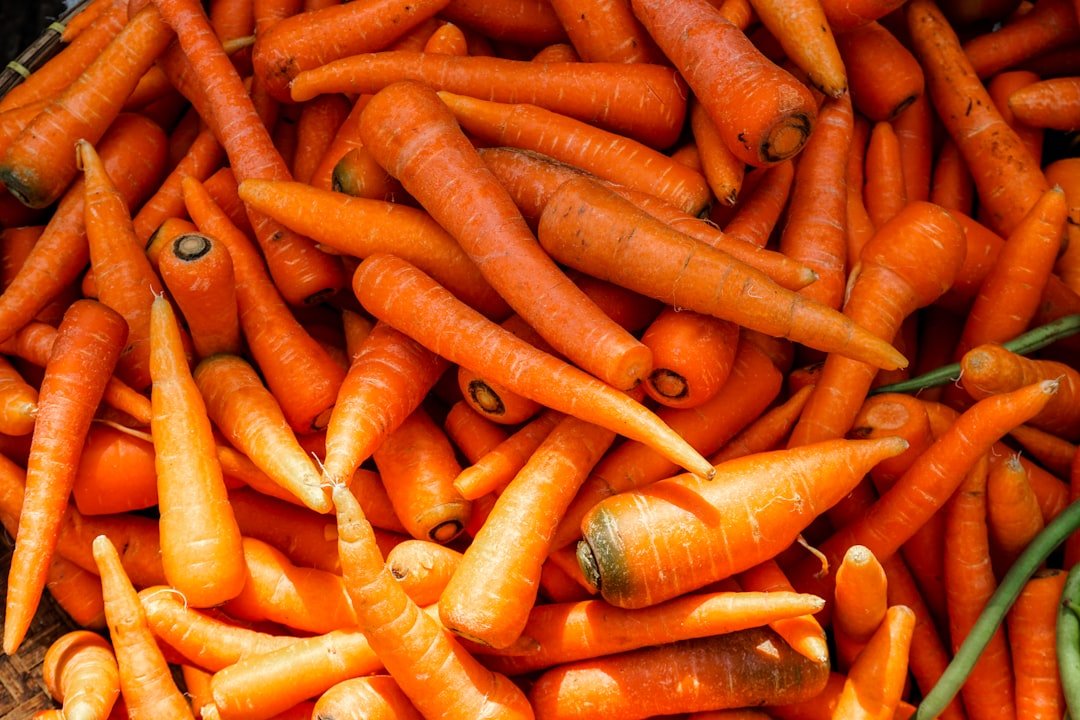 découvrez les meilleures méthodes pour conserver les carottes fraîches plus longtemps, que ce soit par réfrigération, congélation ou autres techniques de préservation.