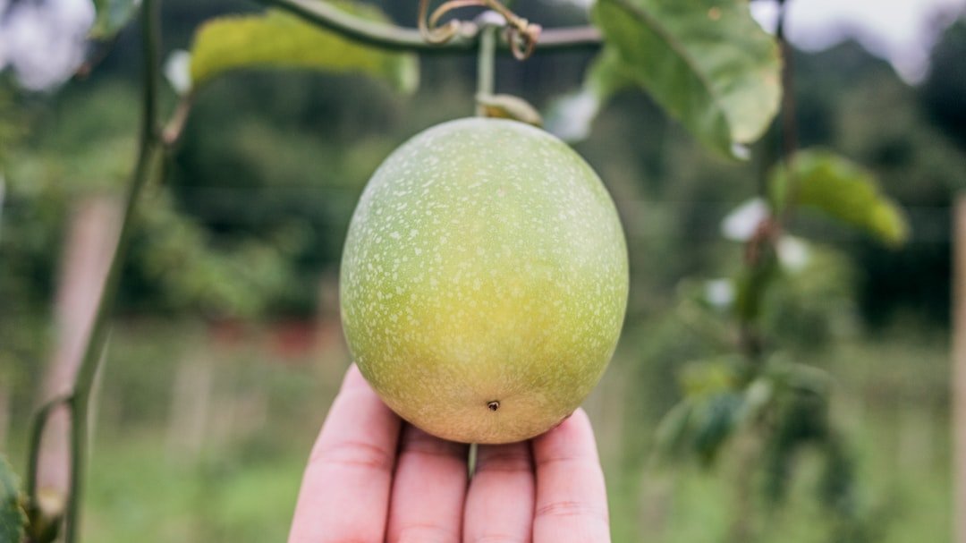 découvrez comment peler le fruit de la passion facilement et sans gaspillage grâce à nos conseils pratiques et astuces simples.
