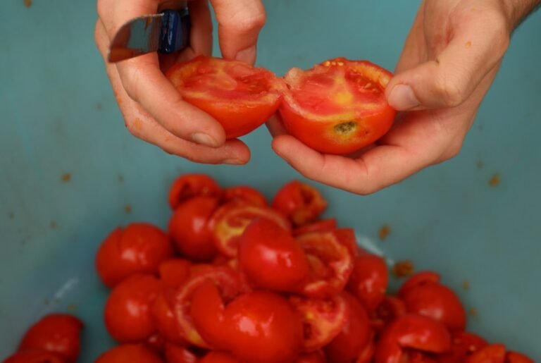 apprenez à peler des tomates facilement et rapidement avec nos astuces simples pour réussir à chaque fois.