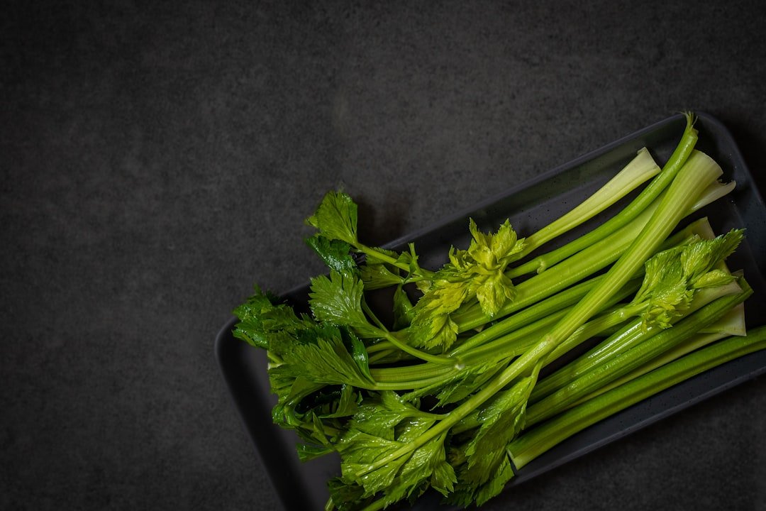 découvrez nos délicieuses recettes à base de céleri, faciles et rapides à préparer pour tous les goûts et toutes les occasions.