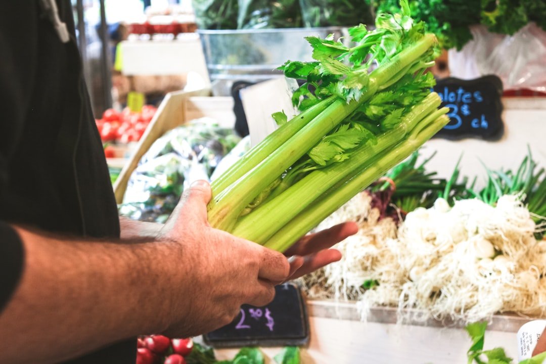 découvrez des recettes savoureuses et faciles à base de céleri pour des plats sains et gourmands au quotidien.