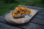 découvrez nos astuces de cuisine pour sublimer les girolles et préparer des plats savoureux et réussis.