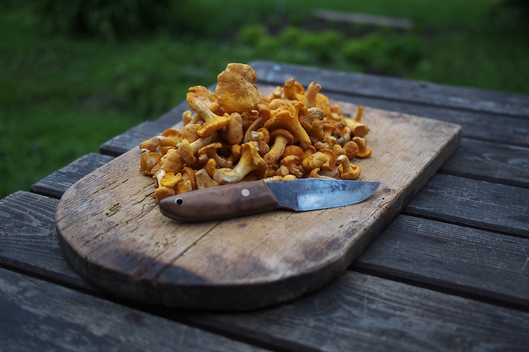 découvrez nos astuces de cuisine pour sublimer les girolles et préparer des plats savoureux et réussis.