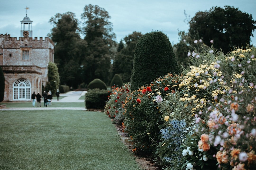 découvrez tout sur la blette : ses bienfaits, recettes savoureuses et conseils pour la cultiver facilement dans votre jardin.