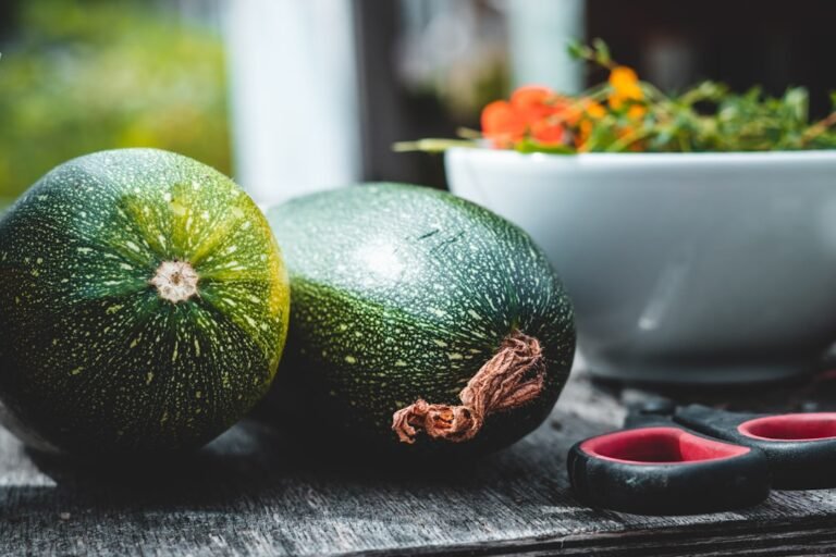 découvrez comment éplucher facilement la courgette grâce à nos astuces simples et rapides pour un résultat parfait à chaque fois.