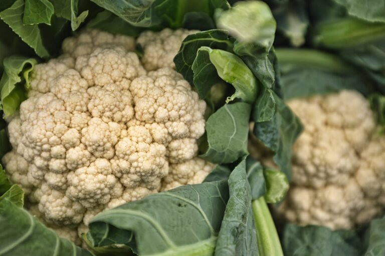 découvrez les meilleures méthodes pour conserver le chou-fleur frais plus longtemps, en gardant toute sa saveur et ses nutriments.