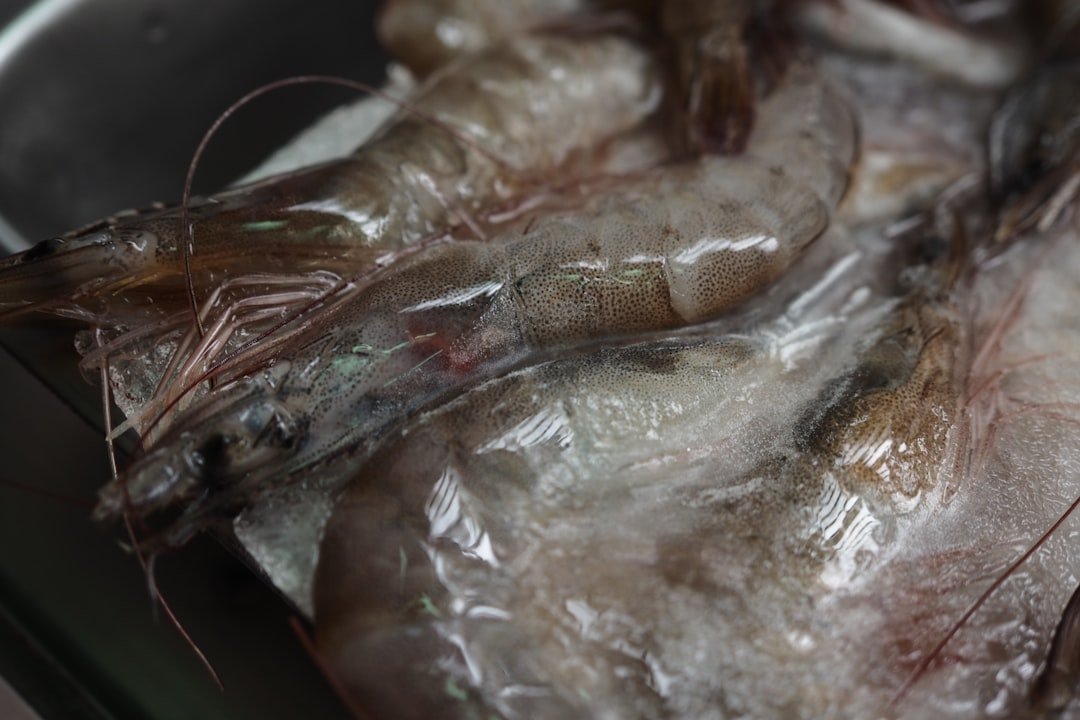 découvrez nos astuces pour conserver les crevettes cuites fraîches plus longtemps et préserver leur saveur et leur texture.