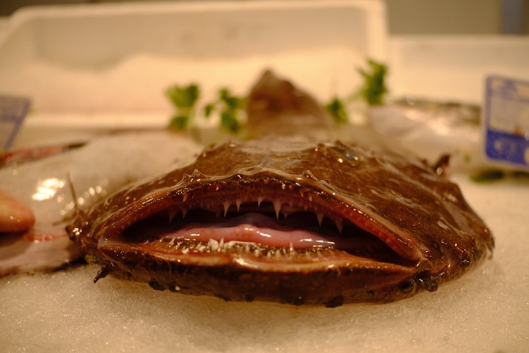 découvrez le monkfish, un poisson de mer apprécié pour sa chair ferme et savoureuse, idéal pour des recettes gourmandes et originales.