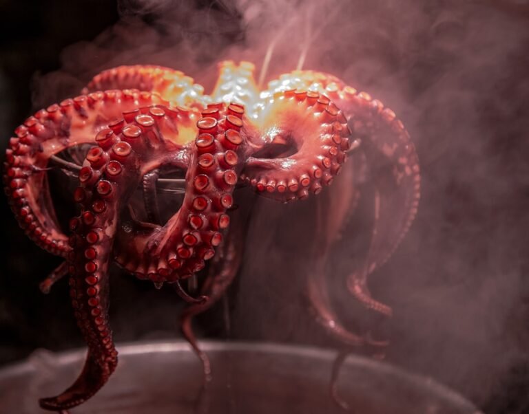 découvrez nos conseils et techniques pour une préparation parfaite de l'octopus, du nettoyage à la cuisson, pour des plats savoureux et faciles à réaliser.