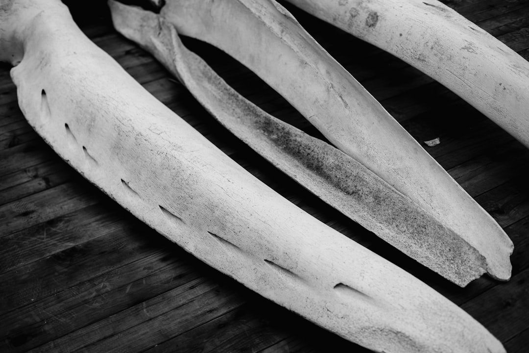 découvrez comment peler des asperges blanches facilement et efficacement pour des recettes savoureuses et raffinées.